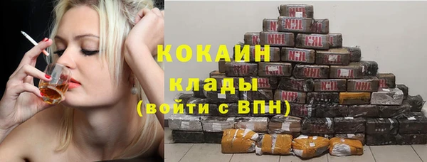 эйфоретик Тайга